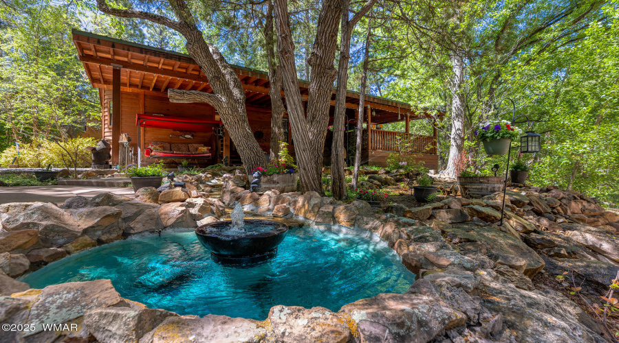 Water Feature