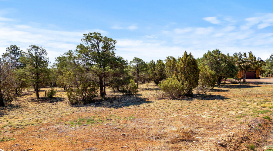 3327SawMillRidgeLoop-Heber-AZ-2