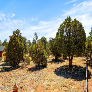 3327SawMillRidgeLoop-Heber-AZ-1