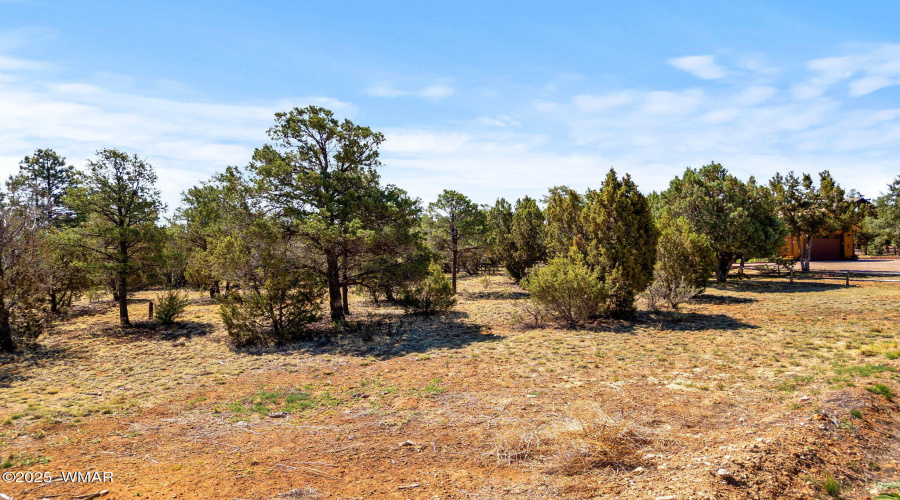3327SawMillRidgeLoop-Heber-AZ-2
