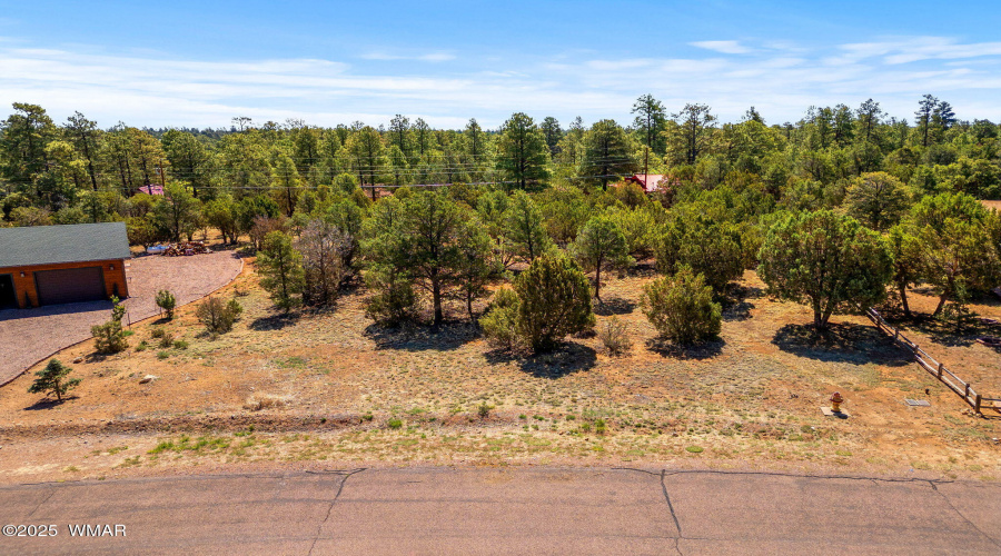 3327SawMillRidgeLoop-Heber-AZ-3