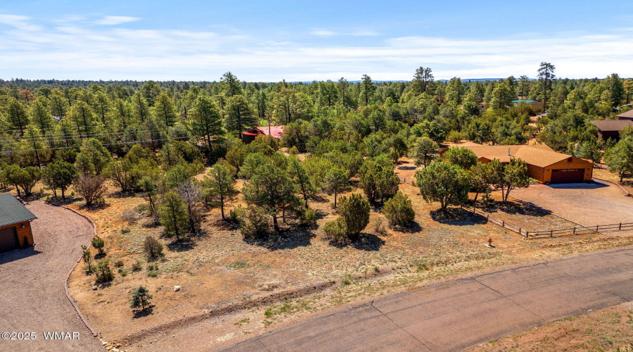 3327SawMillRidgeLoop-Heber-AZ-5