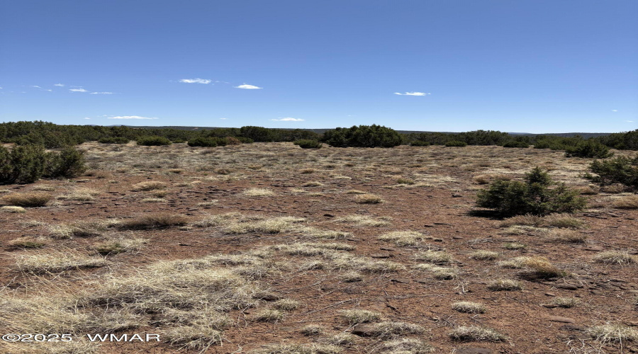 site for a home