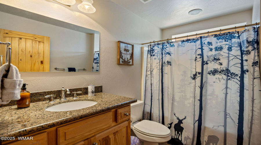 2190EvergreenLn-ShowLow-AZ-29