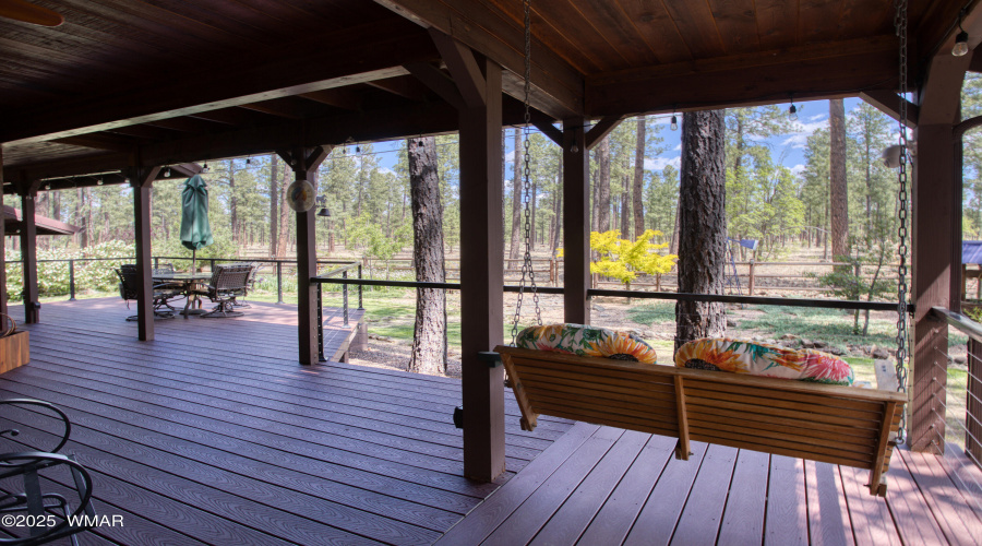 Back Deck and Swing