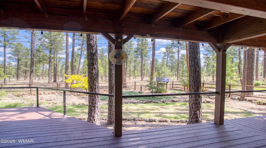 Back Deck View