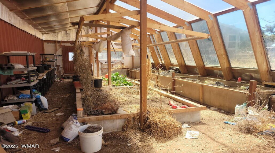 20250606_101621 Greenhouse inside