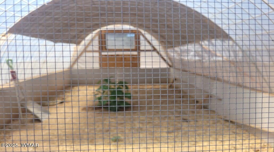 20250606_103247 chicken house