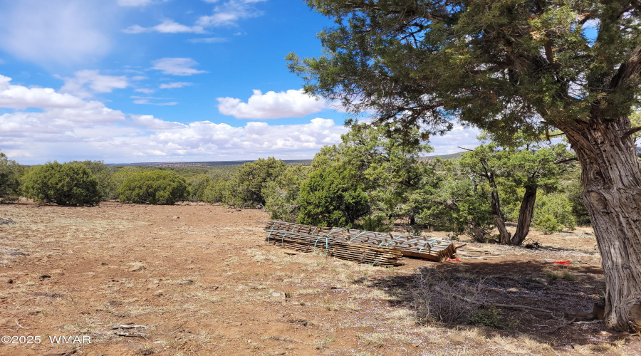 Cabin view to State Land