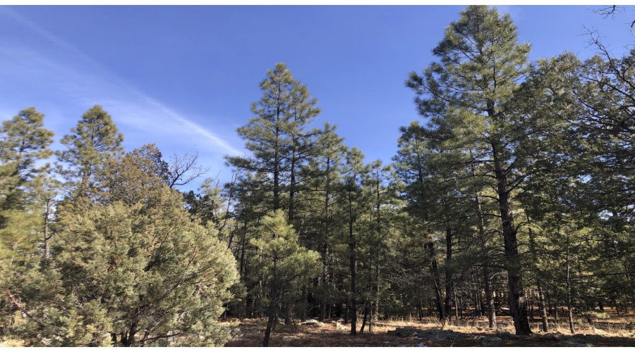 10+ Acres