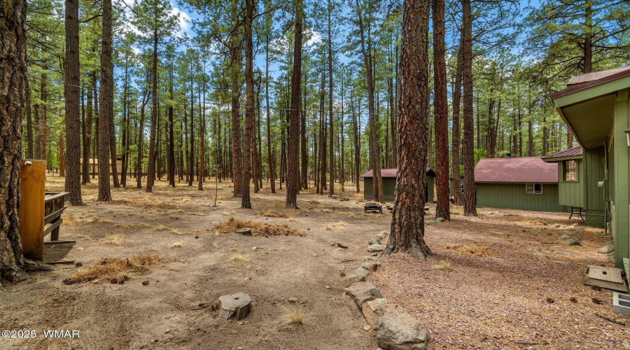 8CoRd2267-Alpine-AZ-27