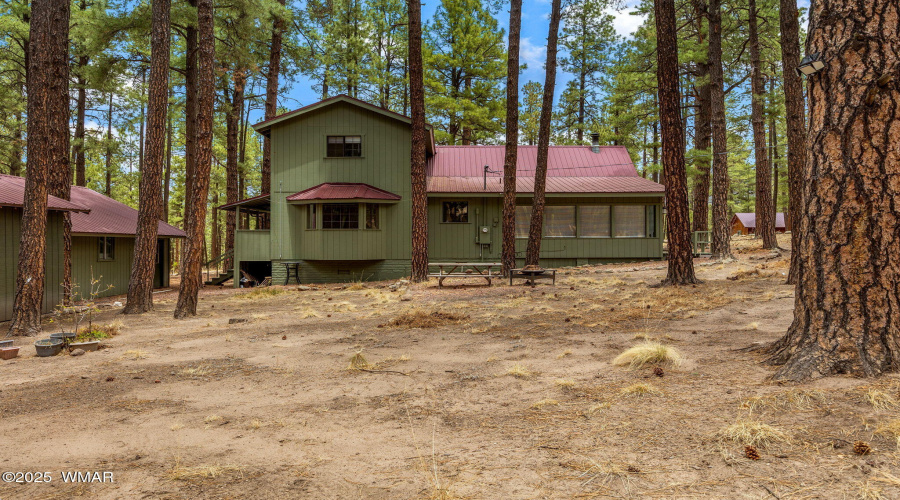 8CoRd2267-Alpine-AZ-29