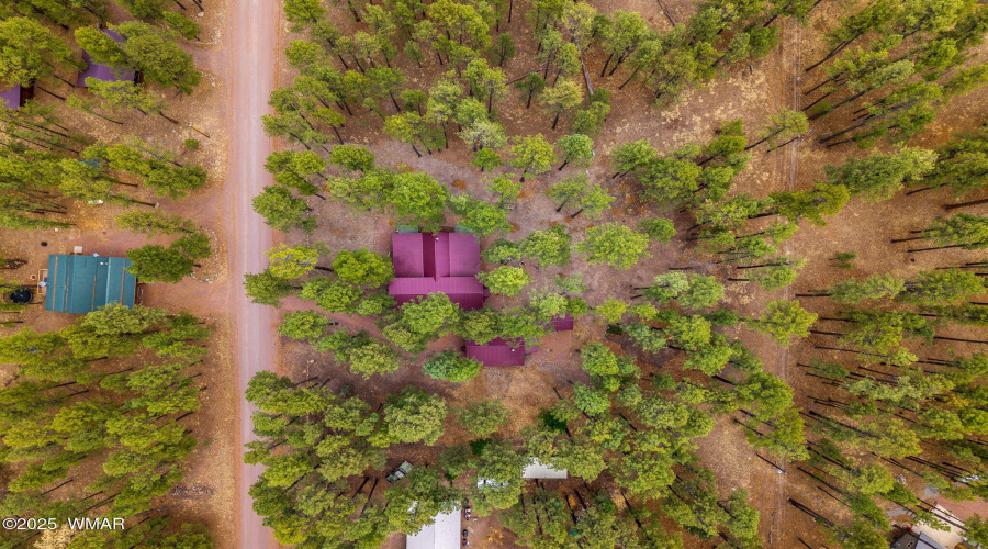8CoRd2267-Alpine-AZ-33