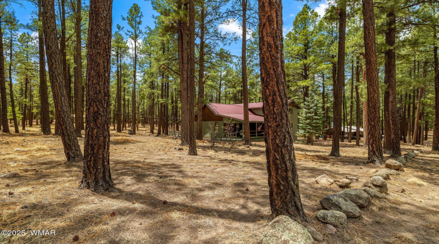 8CoRd2267-Alpine-AZ-3