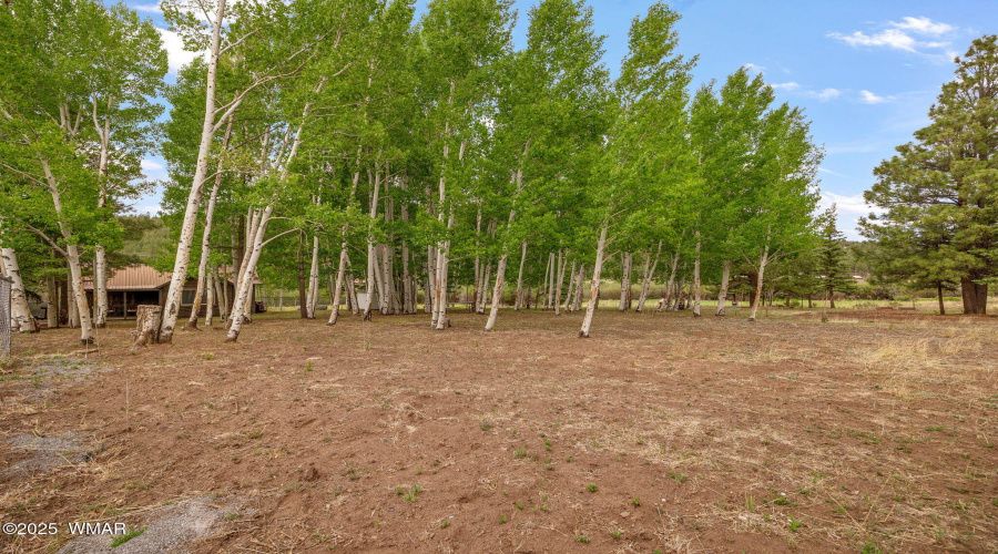 135MainSt-Greer-AZ-20