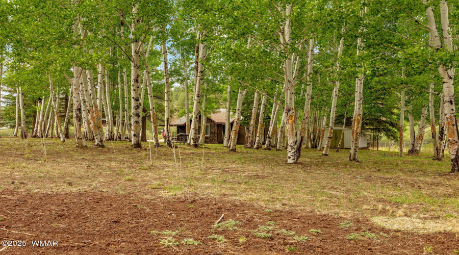 135MainSt-Greer-AZ-22