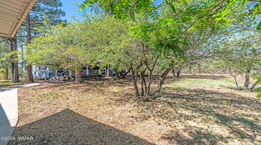 _DSC6695-HDR-Edit