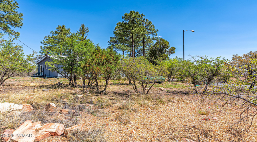 _DSC6770-HDR-Edit