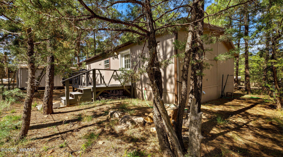 2887TracyRd-Heber-AZ-26