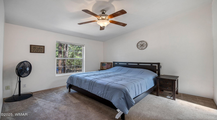 2887TracyRd-Heber-AZ-16
