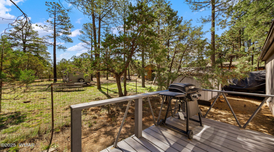 2887TracyRd-Heber-AZ-24