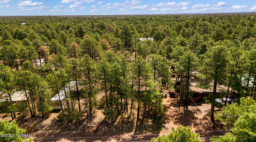 2887TracyRd-Heber-AZ-28