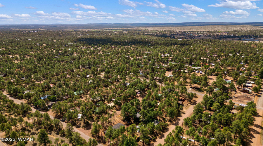 2887TracyRd-Heber-AZ-31