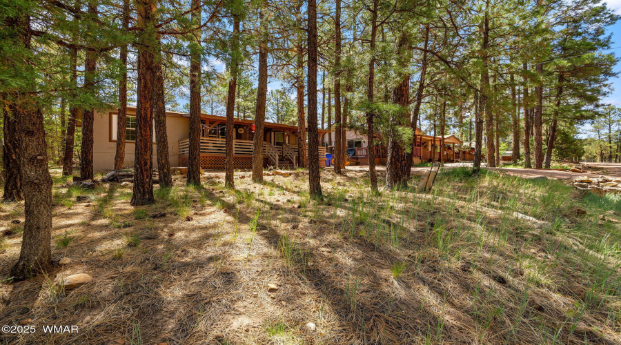 2887TracyRd-Heber-AZ-3