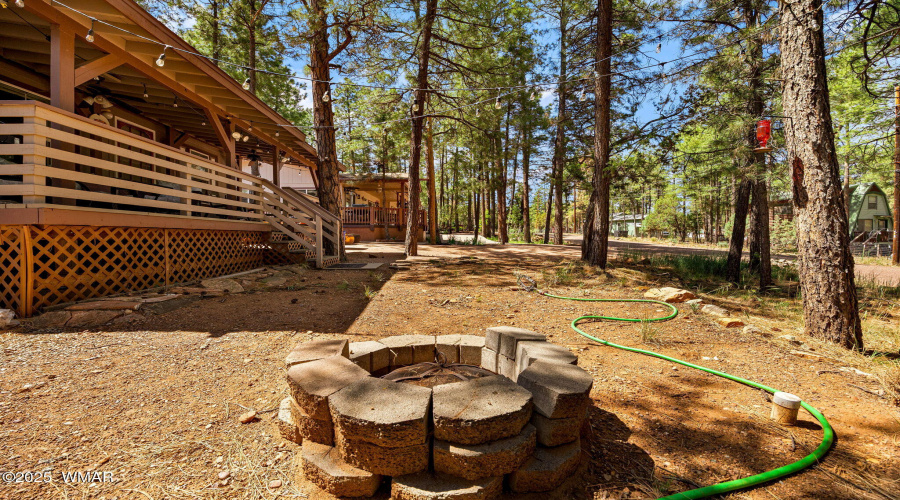 2887TracyRd-Heber-AZ-6