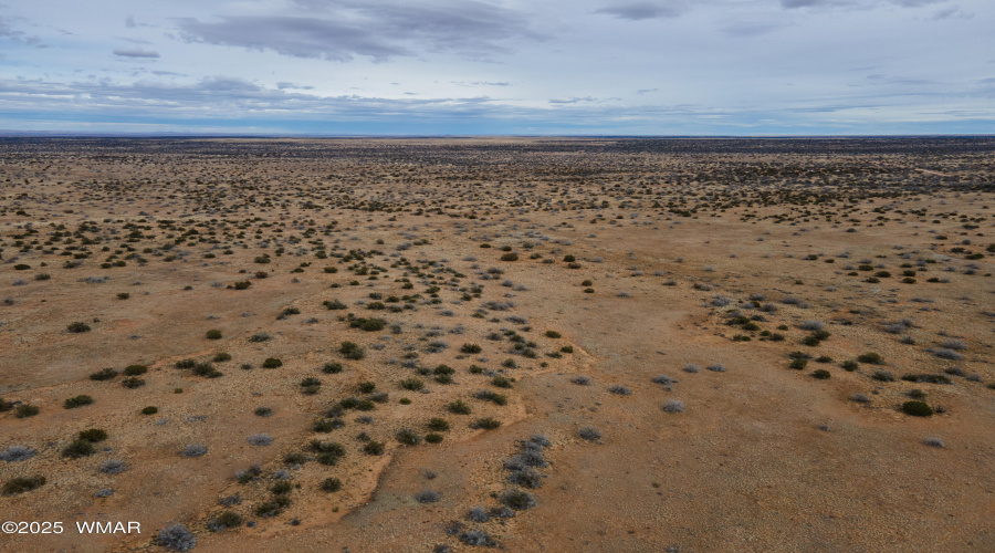 DJI_0572