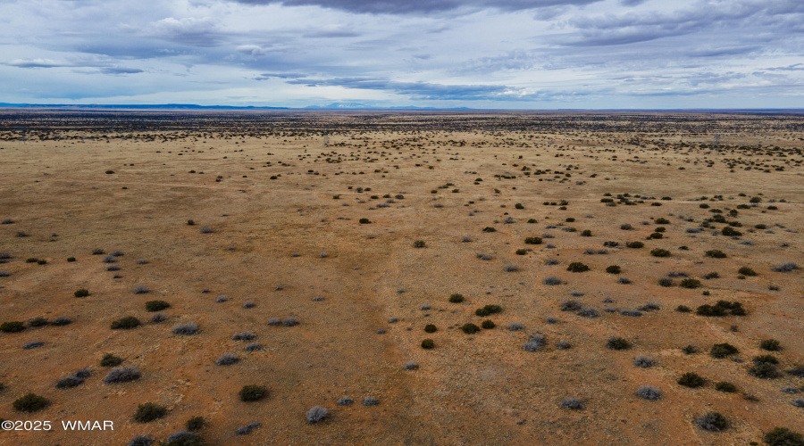 DJI_0574