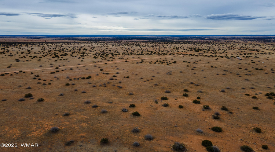 DJI_0576