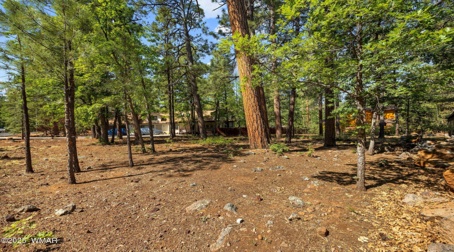 Blacksmith Trail