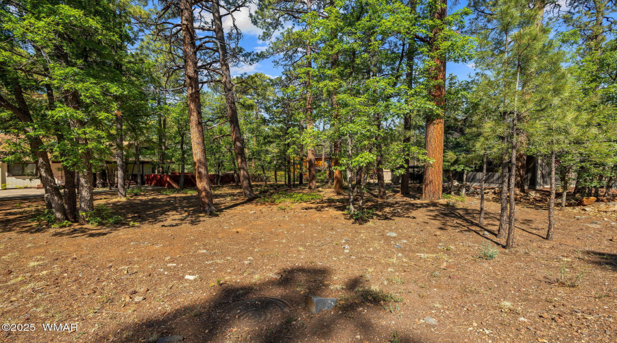 Blacksmith Trail