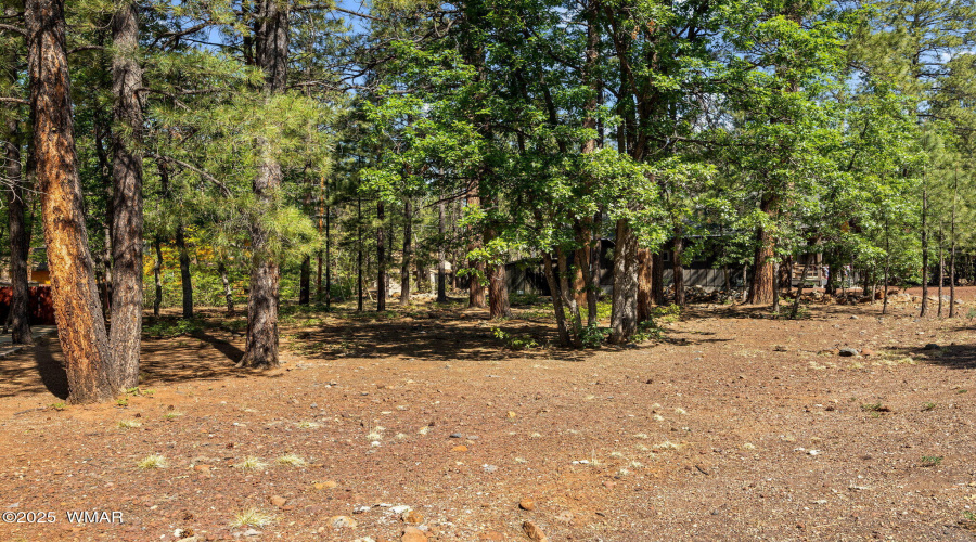 Variety of Trees on Lot