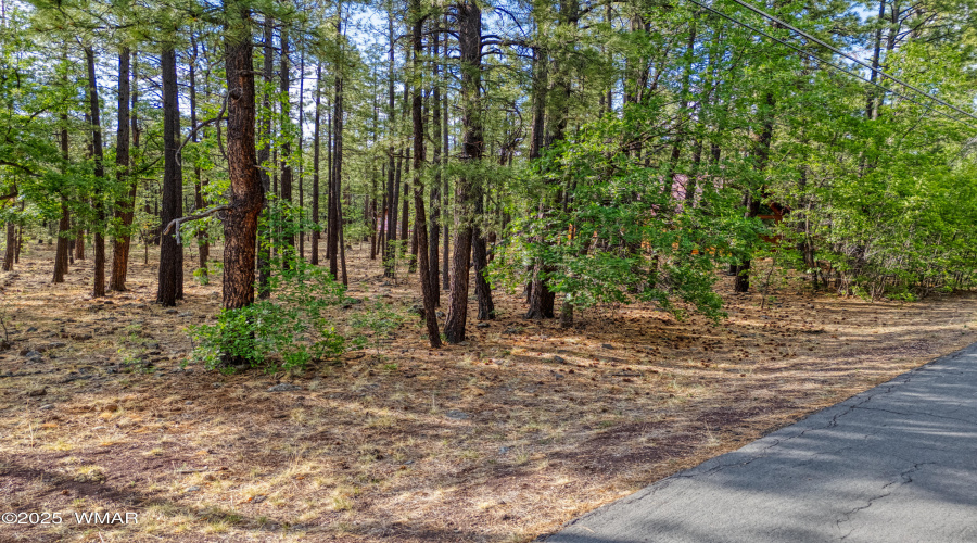 7202 Tall Pine Drive, Pinetop