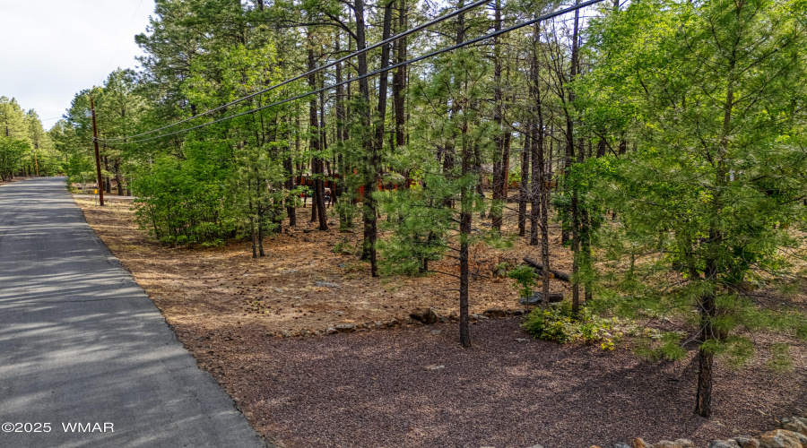 7202 Tall Pine Drive, Pinetop