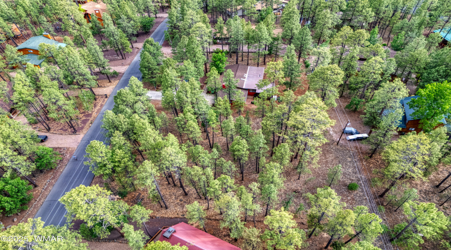 7202 Tall Pine Drive, Pinetop