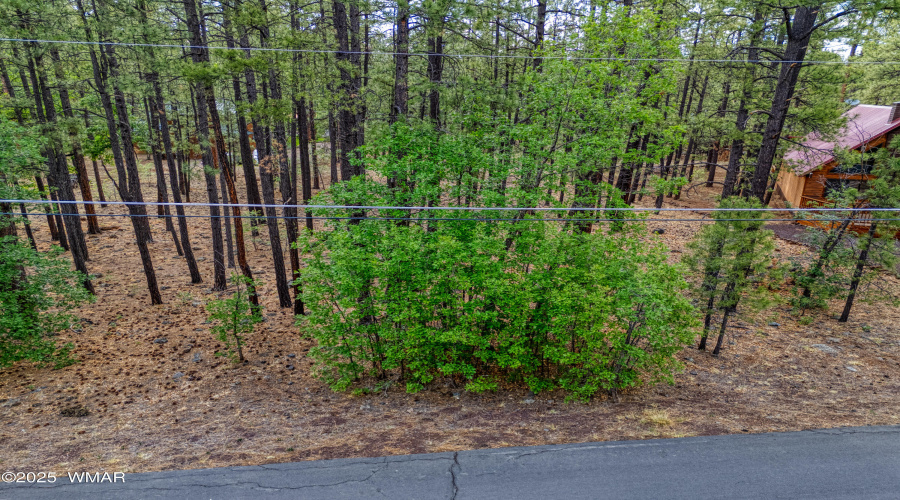 7202 Tall Pine Drive, Pinetop