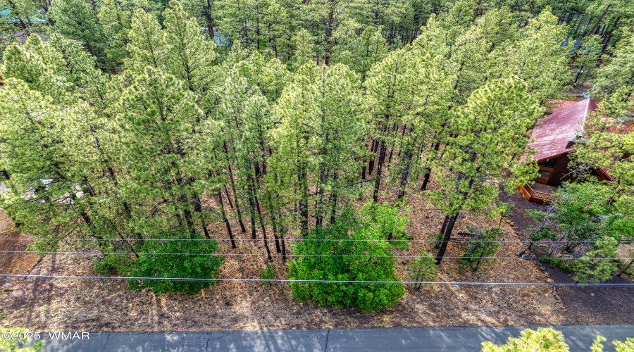 7202 Tall Pine Drive, Pinetop