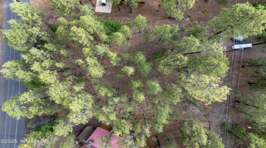 7202 Tall Pine Drive, Pinetop