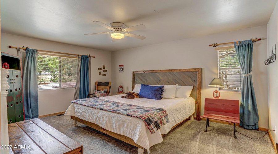 Downstairs bedroom