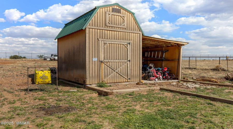 Shed back yard