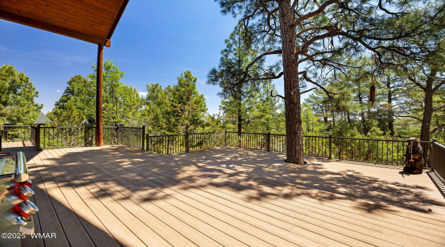 1661GambelOakRd-ShowLow-AZ-28