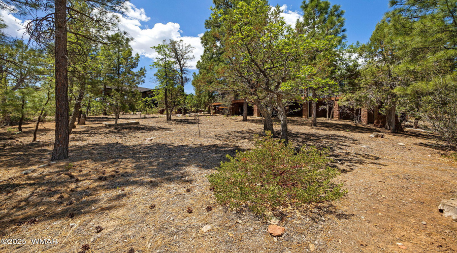 1661GambelOakRd-ShowLow-AZ-32