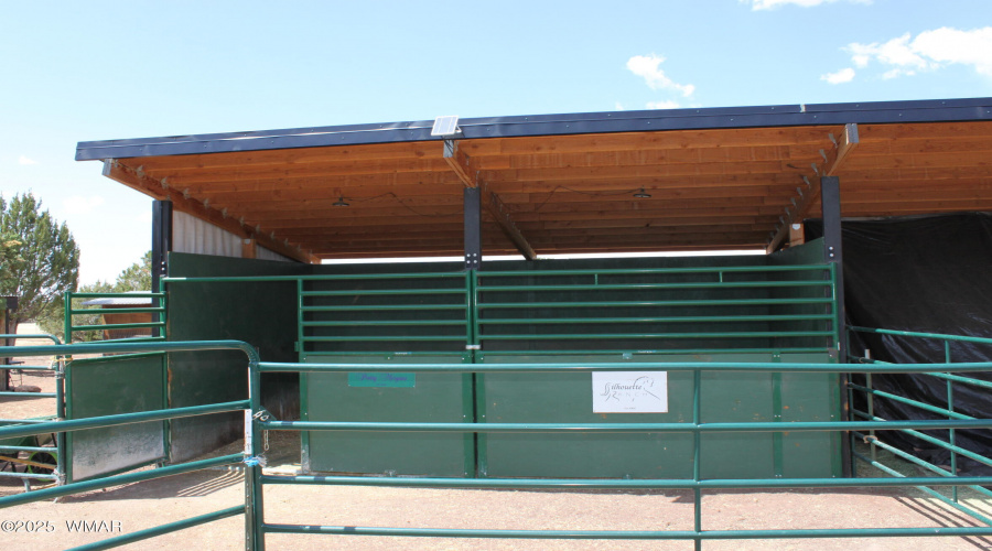 Newer Stall