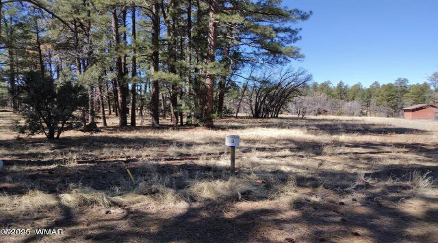 Lot 4