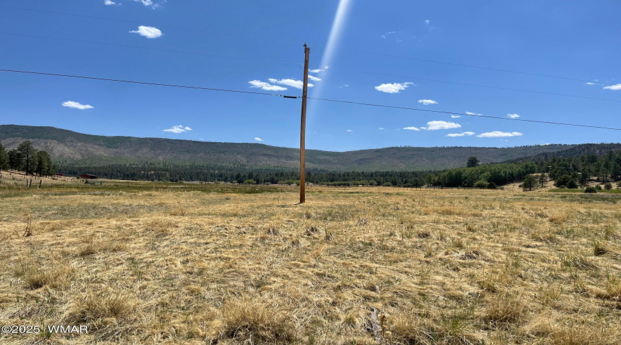 County Road N2275, Nutrioso