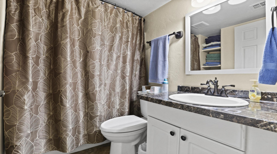 Main Bathroom
