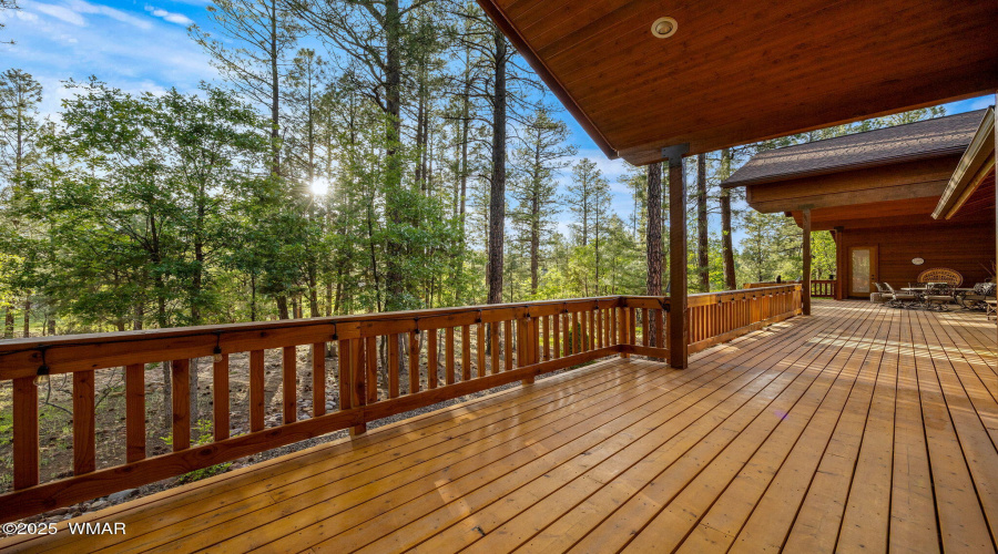 1080SVineMapleLn-ShowLow-AZ-34